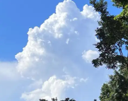 平鲁天气预报,平鲁7天天气预报,平鲁15天天气预报,平鲁天气查询